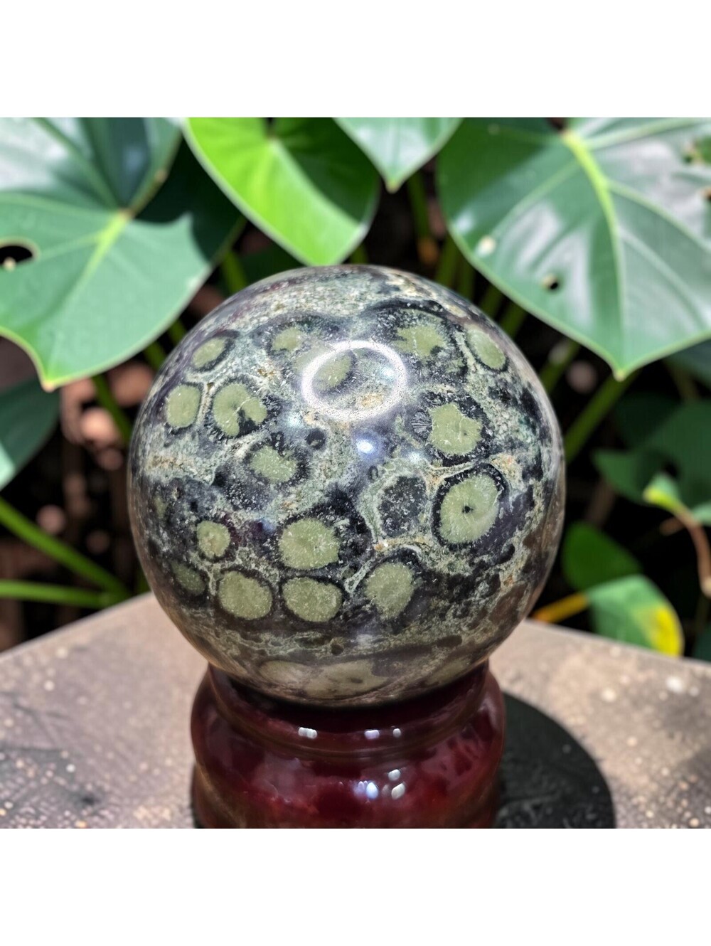 A053. HQ Kambaba Jasper 52mm Natural Crystal Sphere Orb